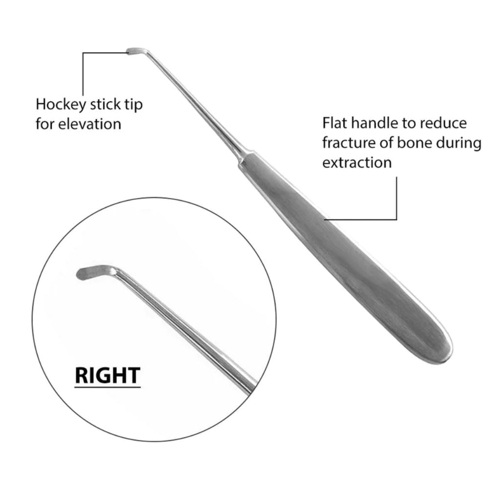 GDC Root Elevator Warwick James Right Standard - EWJR