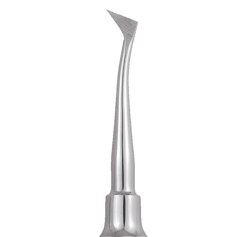 GDC Root Elevators Cryer - Right Standard - EA31