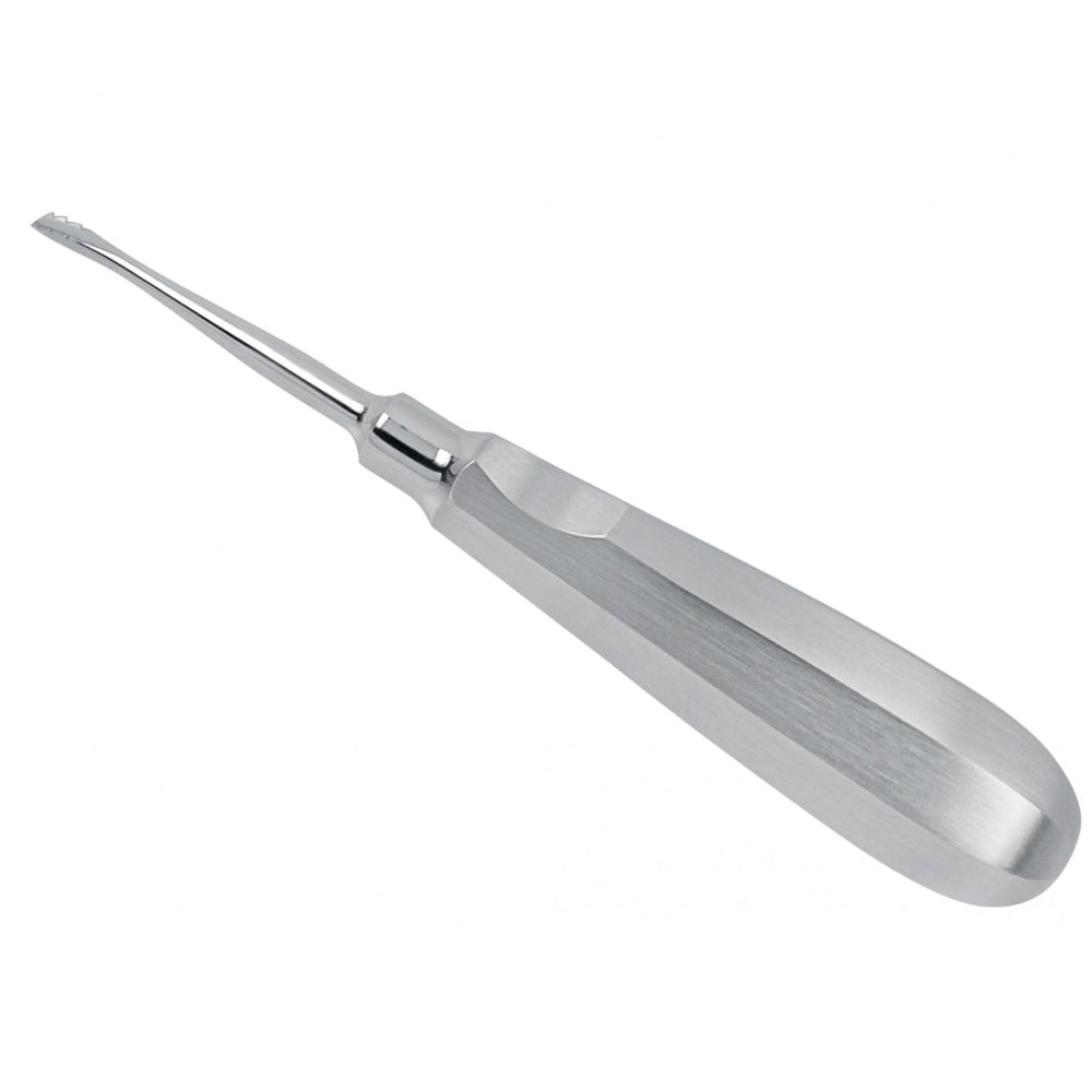 GDC Root Elevators Lindo Levian Curved 4x8mm - LLLC4 Standard