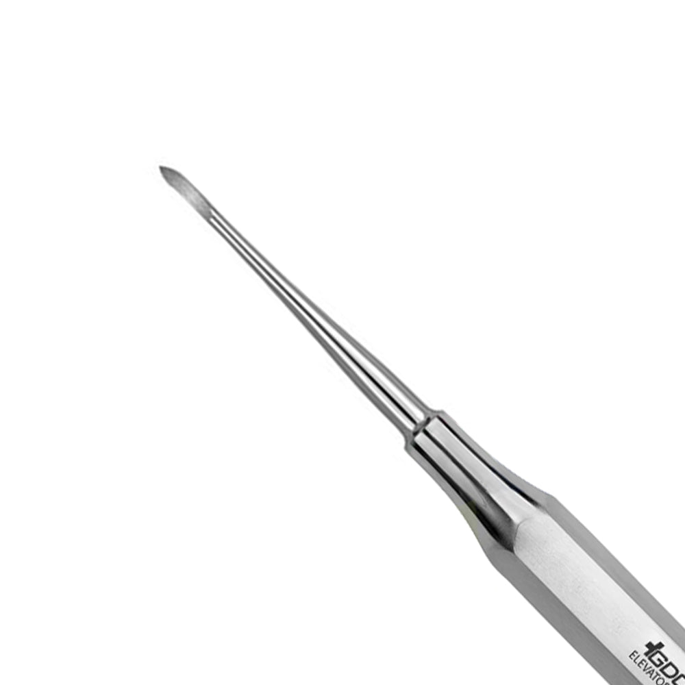GDC Root Elevators Root Tip Pick Heidbrink - Straight - EHB1