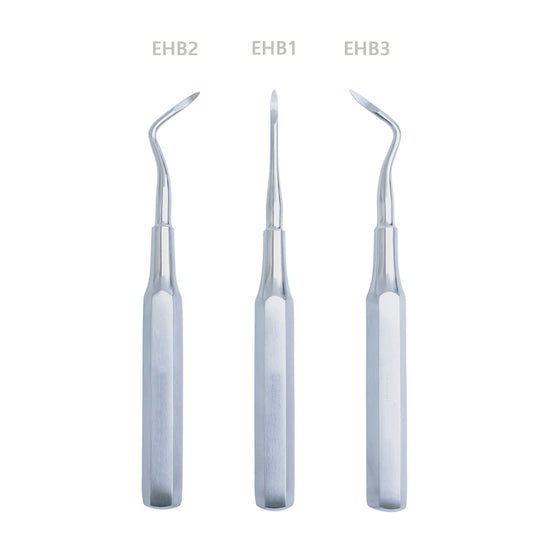GDC Root Elevators Root Tip Pick Set Of 3 - EHBS3