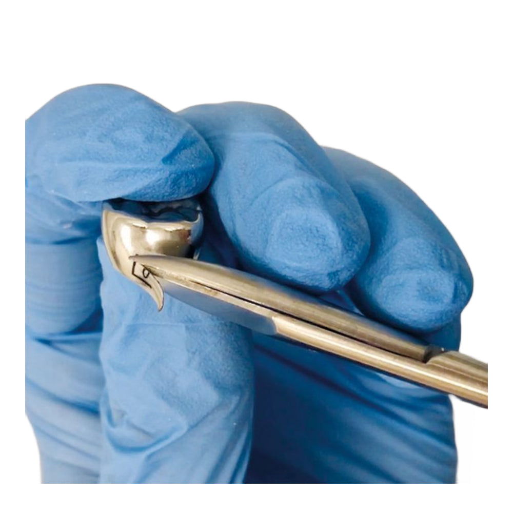 GDC Scissors Crown & Band Straight 12cm - SCGS