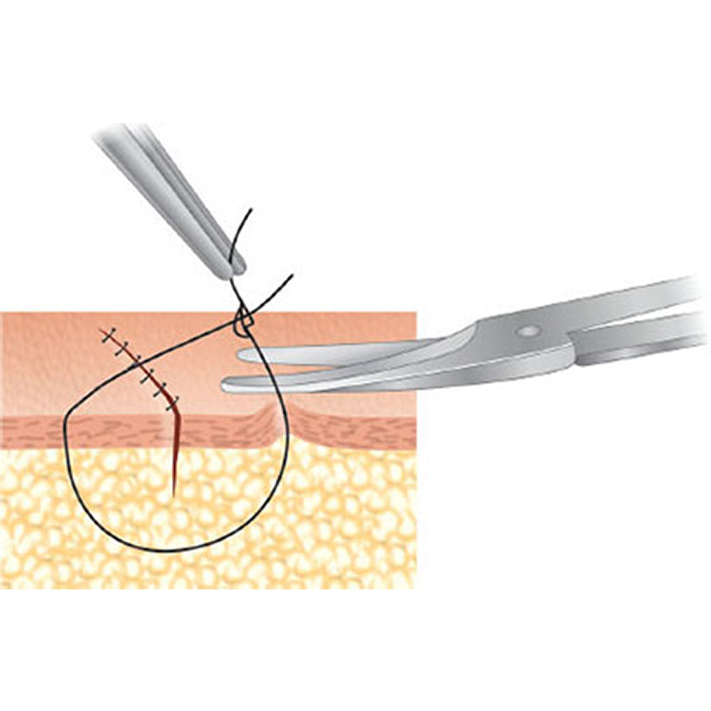 GDC Scissors Iris - Curved 11.5cm - S18