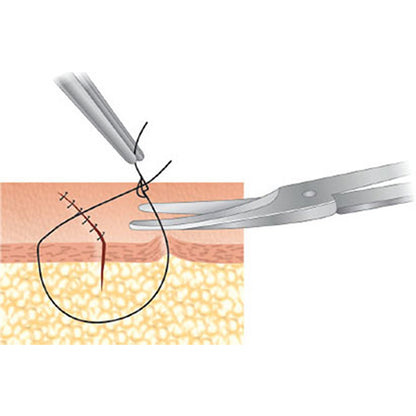 GDC Scissors Iris - Curved 11.5cm - S18