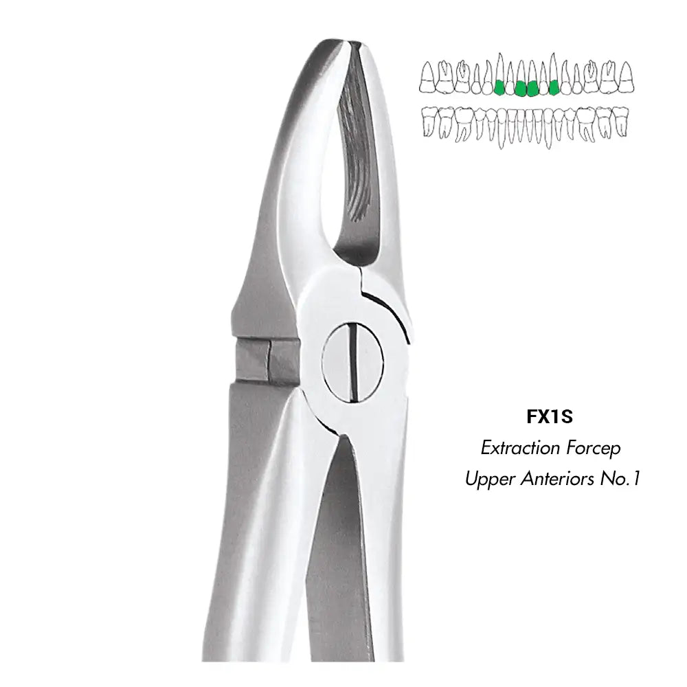 GDC Extraction Forceps Upper Anteriors FX1S | 1 Standard