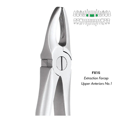 GDC Extraction Forceps Upper Anteriors FX1S | 1 Standard