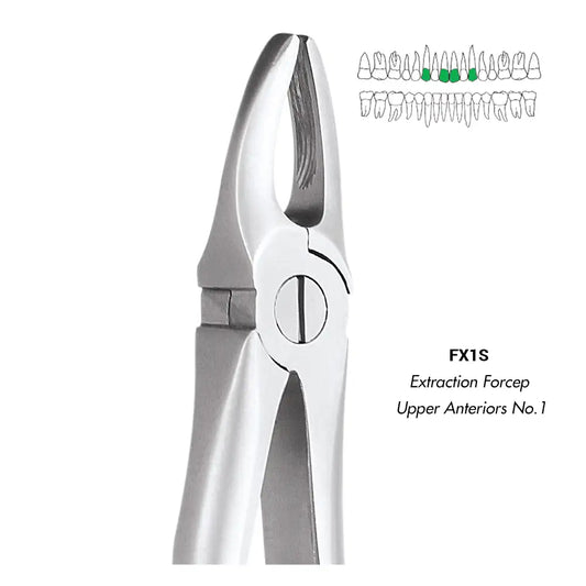 GDC Extraction Forceps Upper Anteriors FX1S | 1 Standard