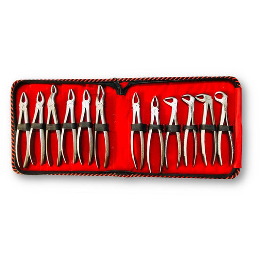 JENIN Forceps 12 PCS Kit | Tooth Extracting Forceps Kit Anatomic Handle-Set | Adult Forceps Kit