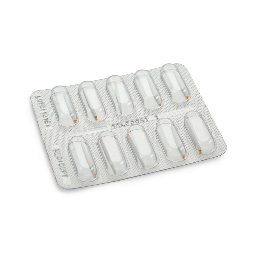 MEDICEPT Self Post | High-Intensity Quartz Fiber Reinforced Resin Posts