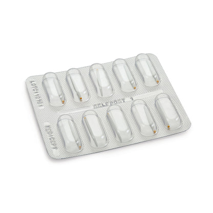 MEDICEPT Self Post | High-Intensity Quartz Fiber Reinforced Resin Posts