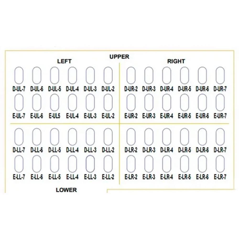 SANDENT 48pc Assorted Primary Molar Stainless Steel Crowns – Complete Pediatric Dental Kit