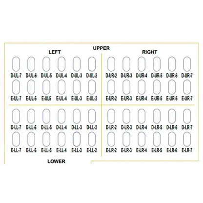 ORO Little Crown Primary Molar Kit | 48 PCS | Stainless Steel Crowns