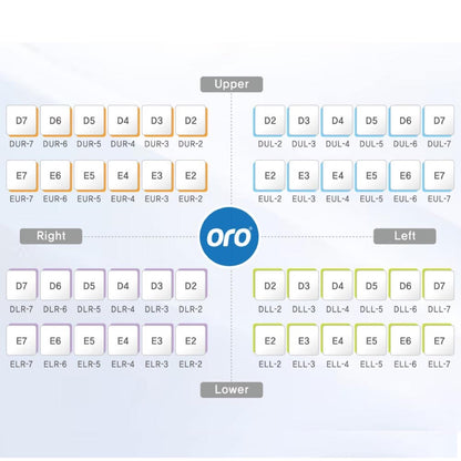 ORO Little Crown Primary LOWER First Molar | Stainless Steel Little Crowns