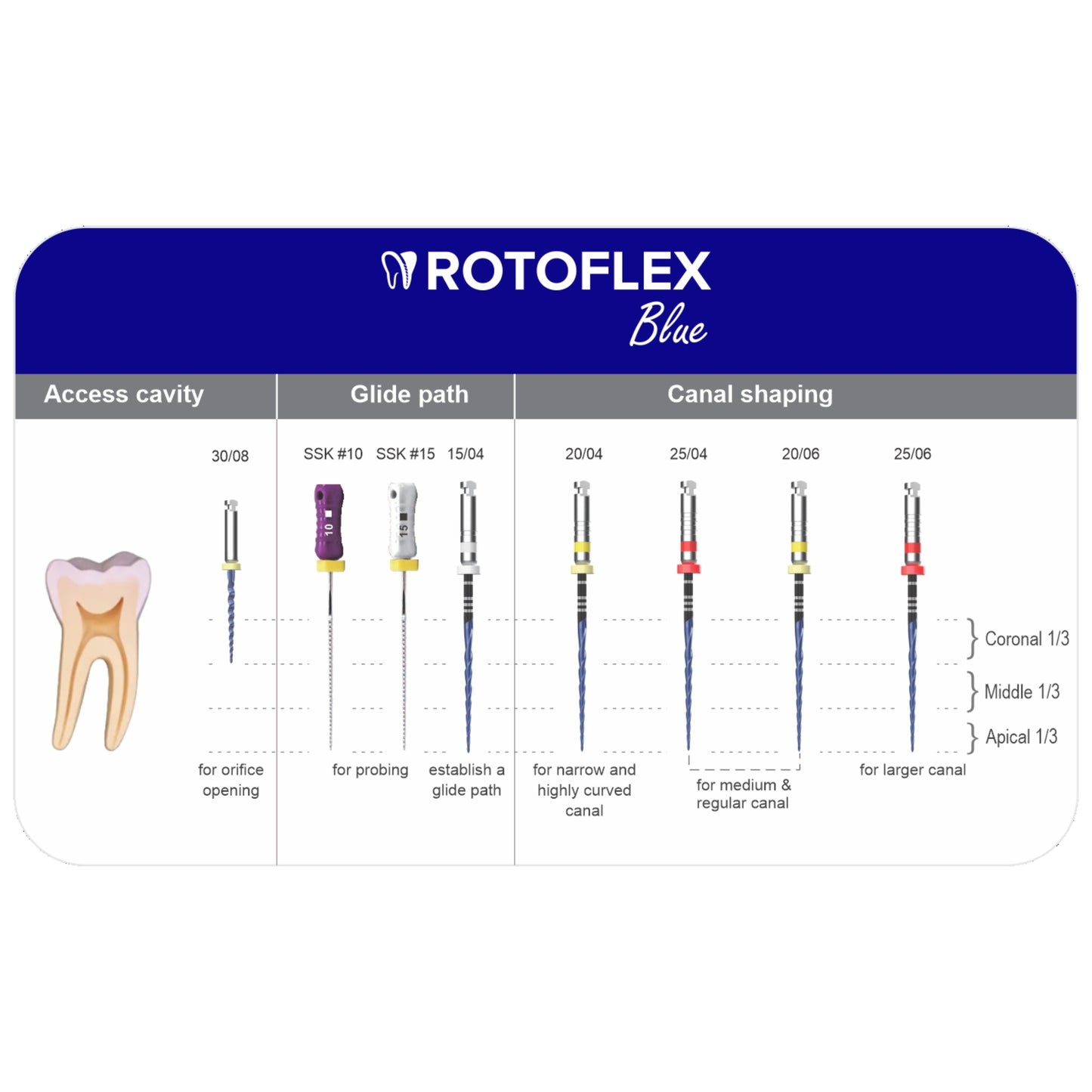Prevest ROTOFLEX Blue 25MM Rotary Files