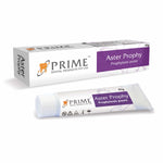 Periodontics Equipment & Instruments