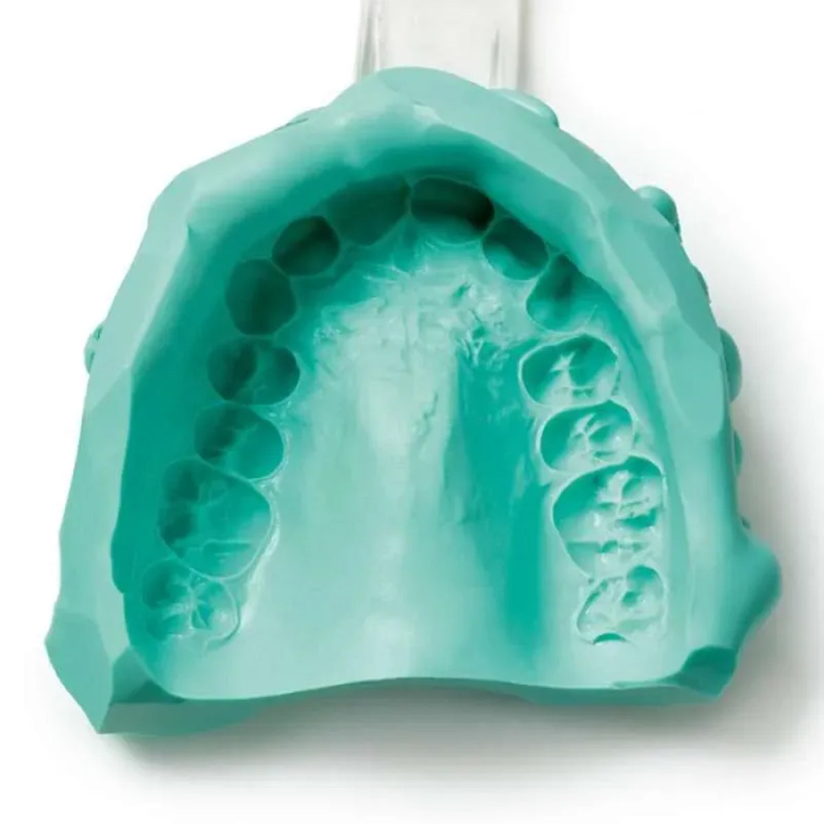 Prime Dental Algin Gum | Alginate Powder