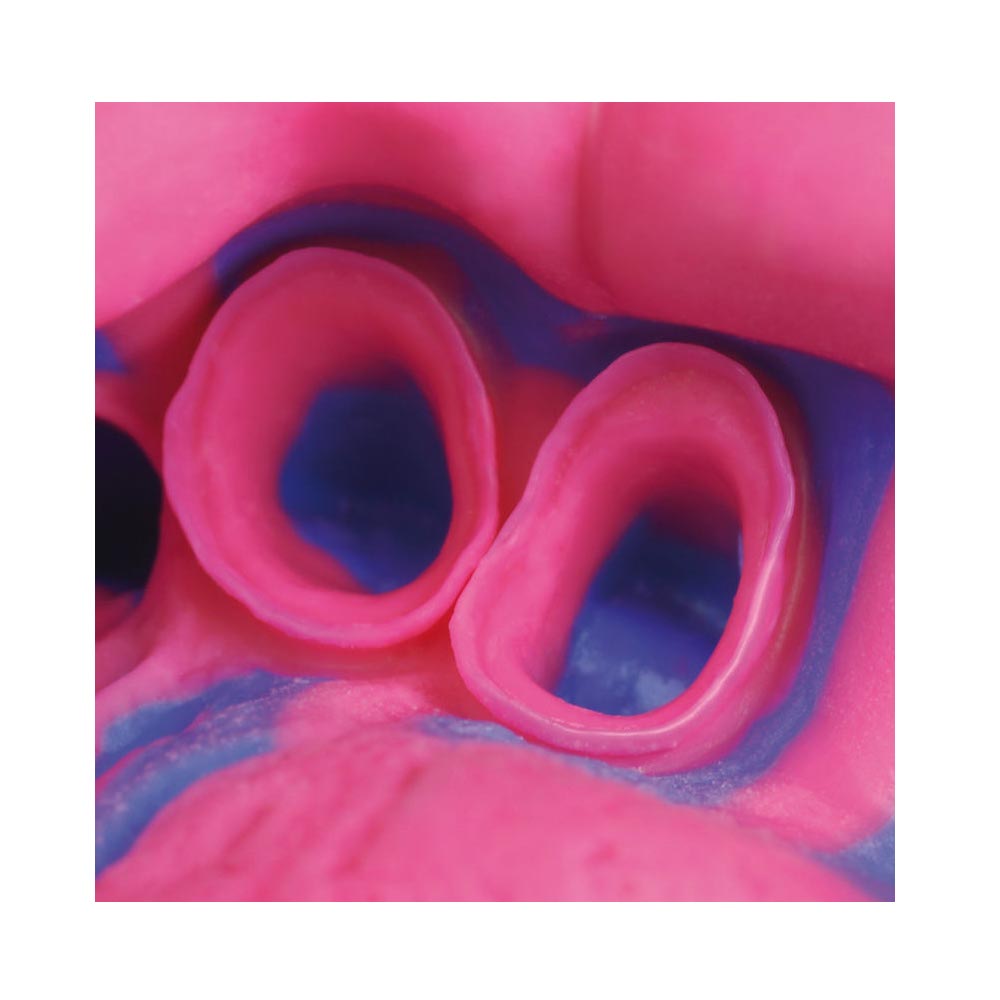 Zhermack Hydrorise Putty & Light Body Impression Material | Rubber Base Impression Material