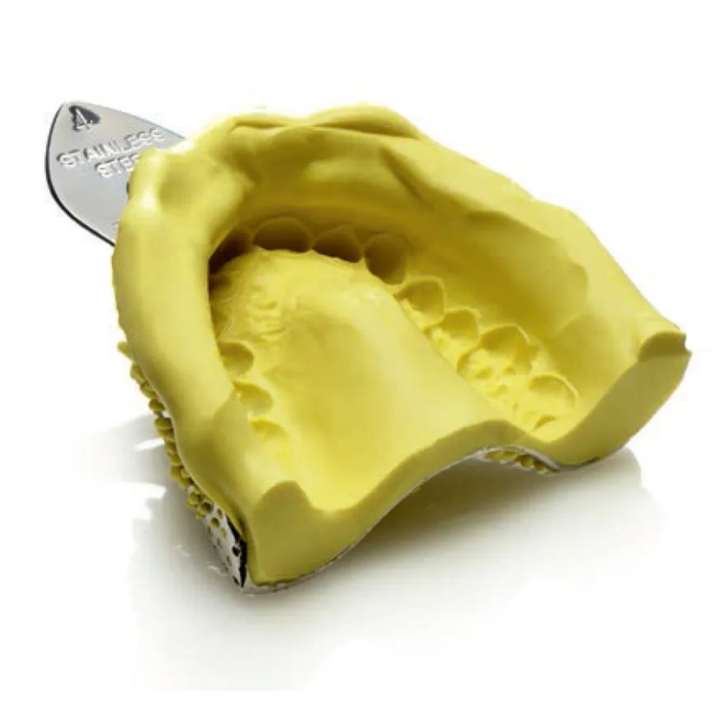 Zhermack Tropicalgin Alginate | Impression Material