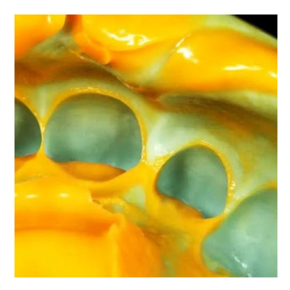 Zhermack Zetaplus 10KG Bucket