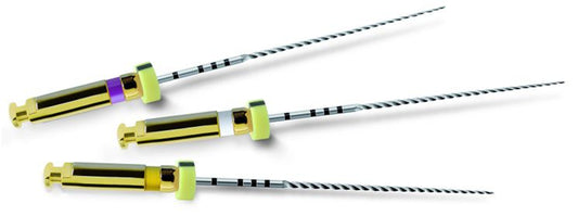 DENTSPLY Path File 25mm