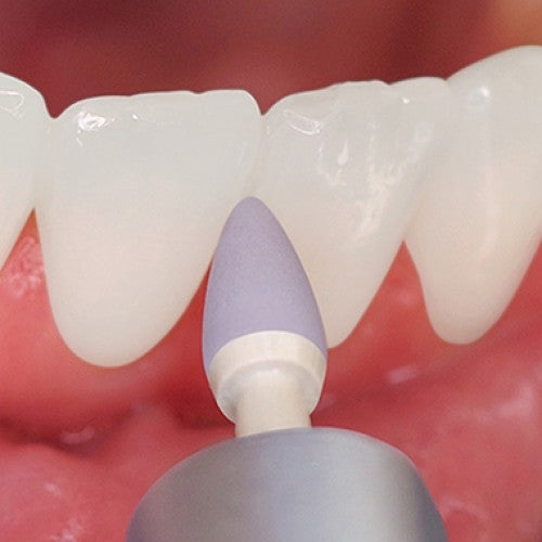 FilayDent Kenda Polishers