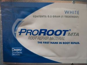 DENTSPLY Proroot MTA 0.5 GM