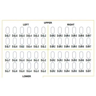 ORO Little Crown Primary Molar Kit | 48 PCS | Stainless Steel Crowns - Image 4